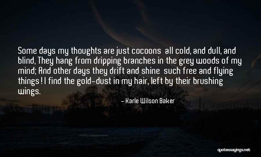 Free Flying Quotes By Karle Wilson Baker Free Flying Quotes By Karle Wilson Baker