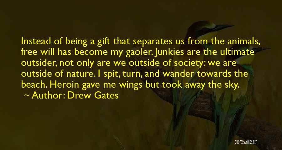 Free From Addiction Quotes By Drew Gates