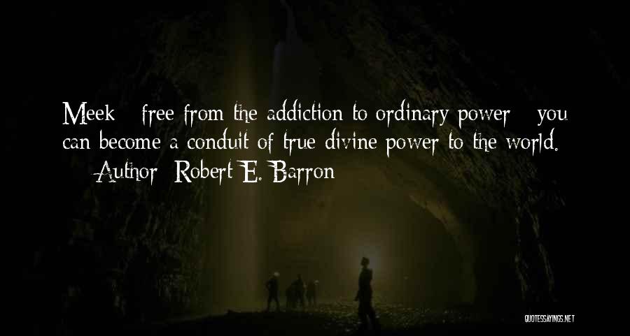 Free From Addiction Quotes By Robert E. Barron