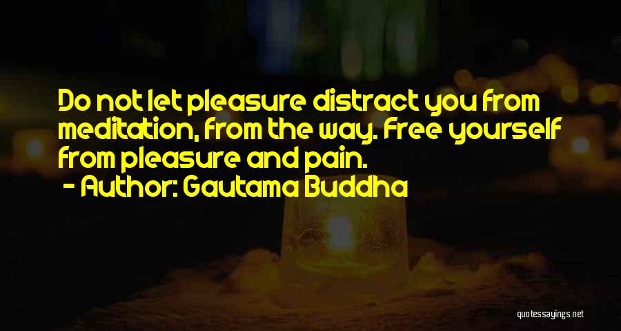 Free From Pain Quotes By Gautama Buddha