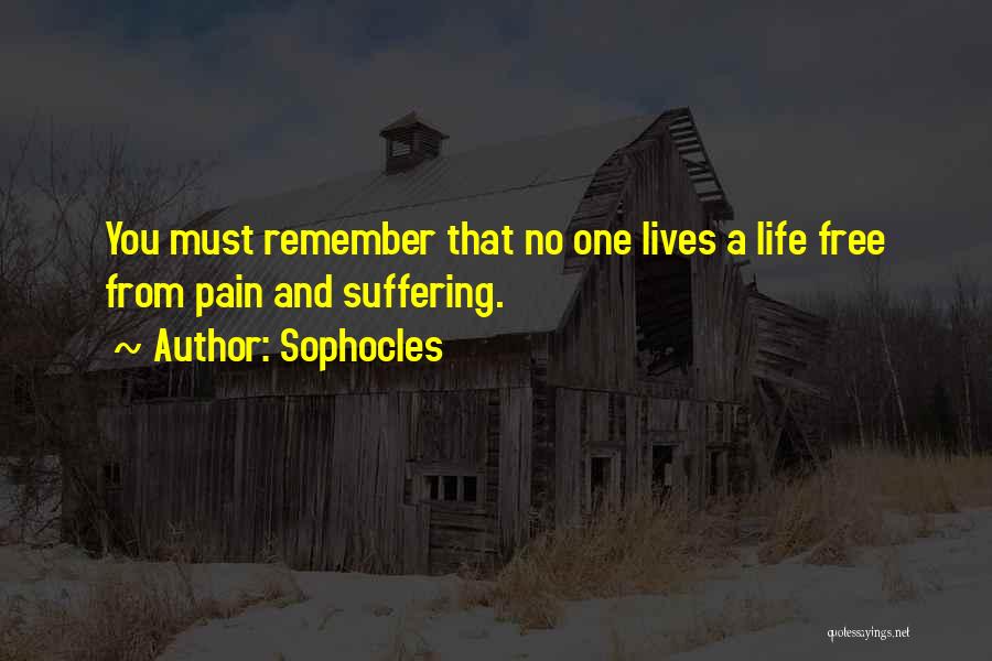 Free From Pain Quotes By Sophocles