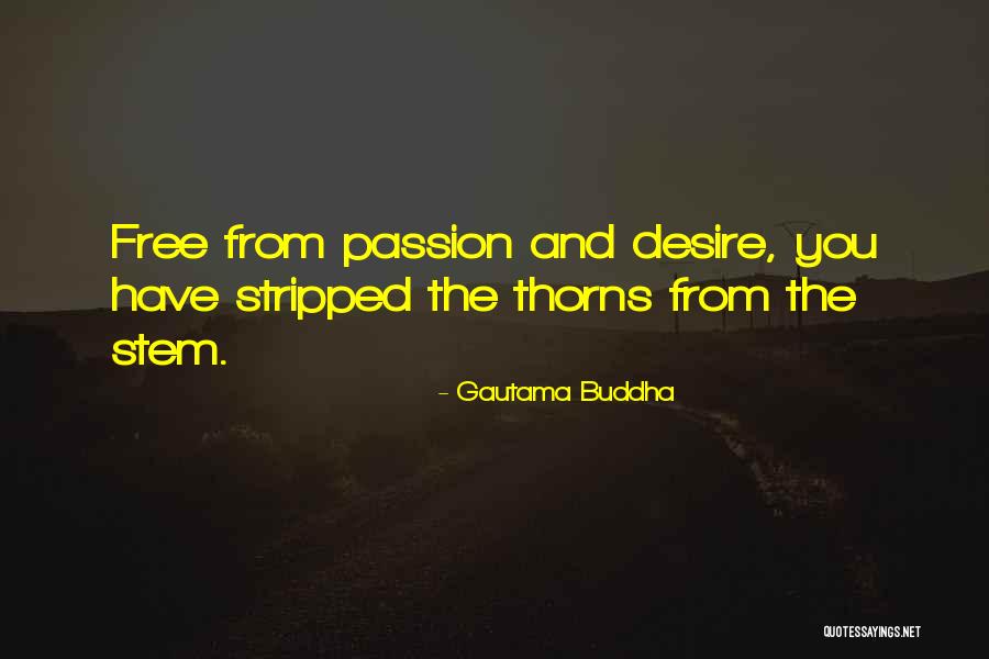 Free From Quotes By Gautama Buddha