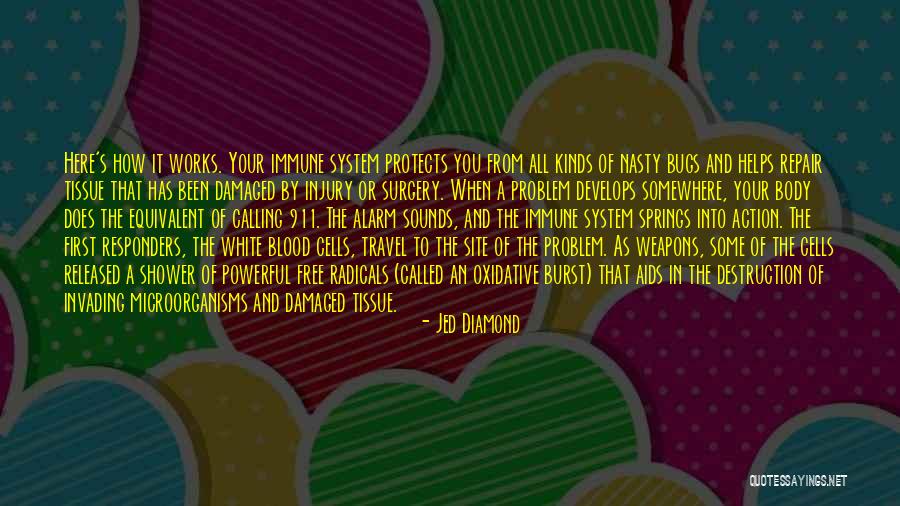 Free From Stress Quotes By Jed Diamond Free From Stress Quotes By Jed Diamond