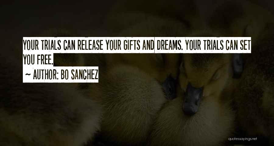 Free Gifts Quotes By Bo Sanchez