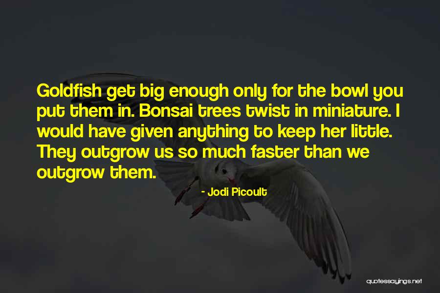 Free Instant Life Insurance Quotes By Jodi Picoult Free Instant Life Insurance Quotes By Jodi Picoult