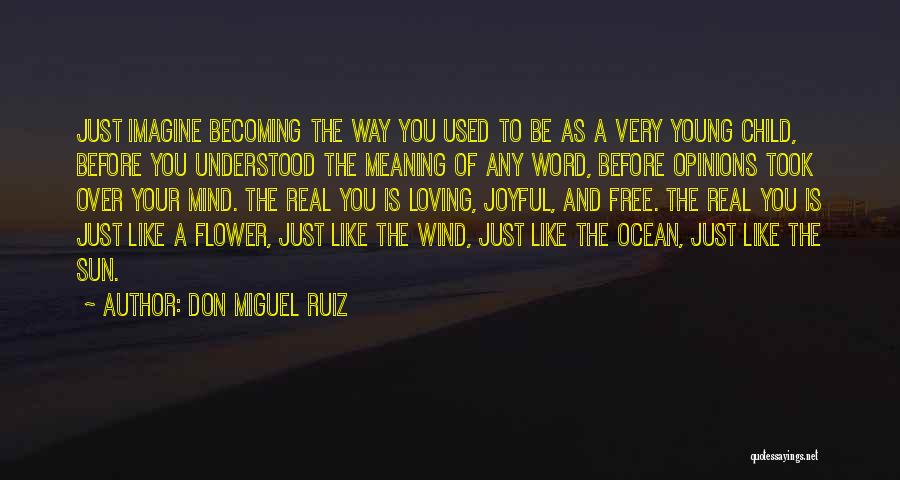 Free Like The Wind Quotes By Don Miguel Ruiz