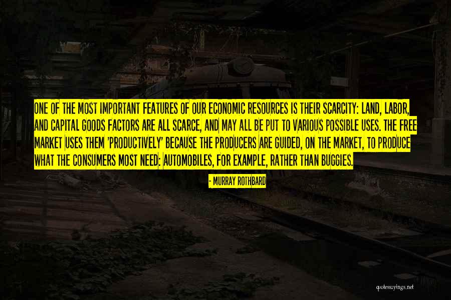 Free Market Quotes By Murray Rothbard