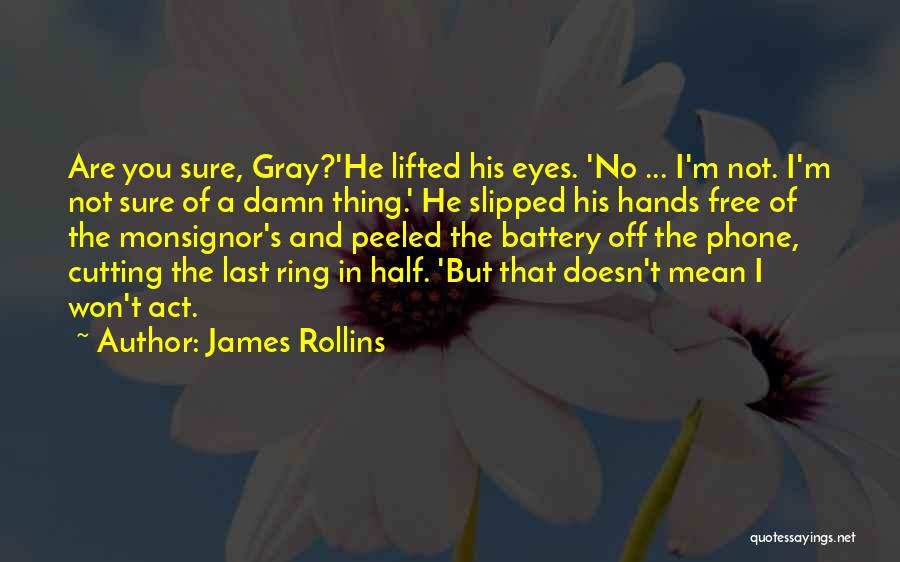 Free Phone Quotes By James Rollins