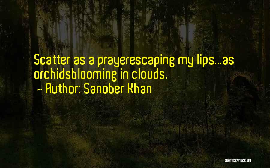 Free Poems And Quotes By Sanober Khan