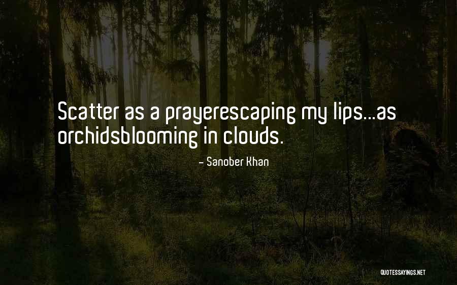 Free Poems Quotes By Sanober Khan Free Poems Quotes By Sanober Khan