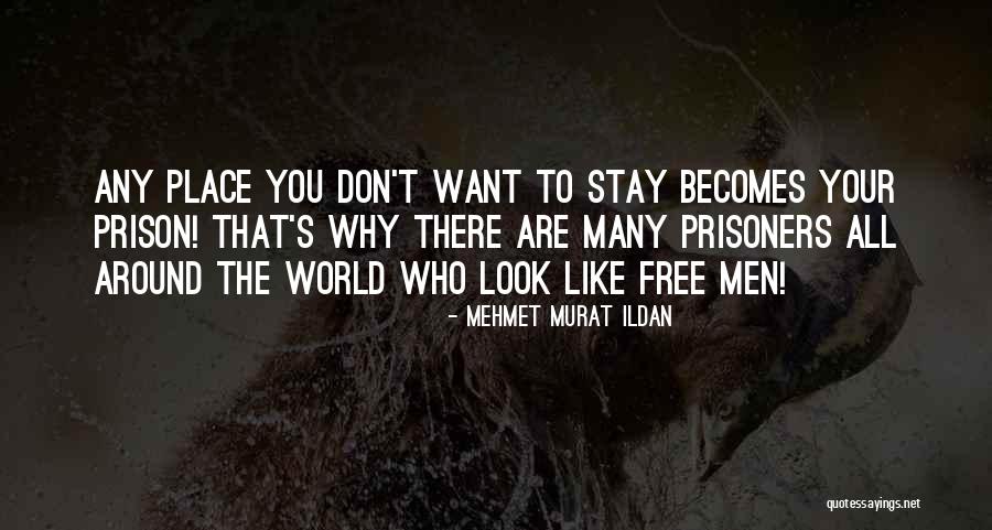 Free Prison Quotes By Mehmet Murat Ildan