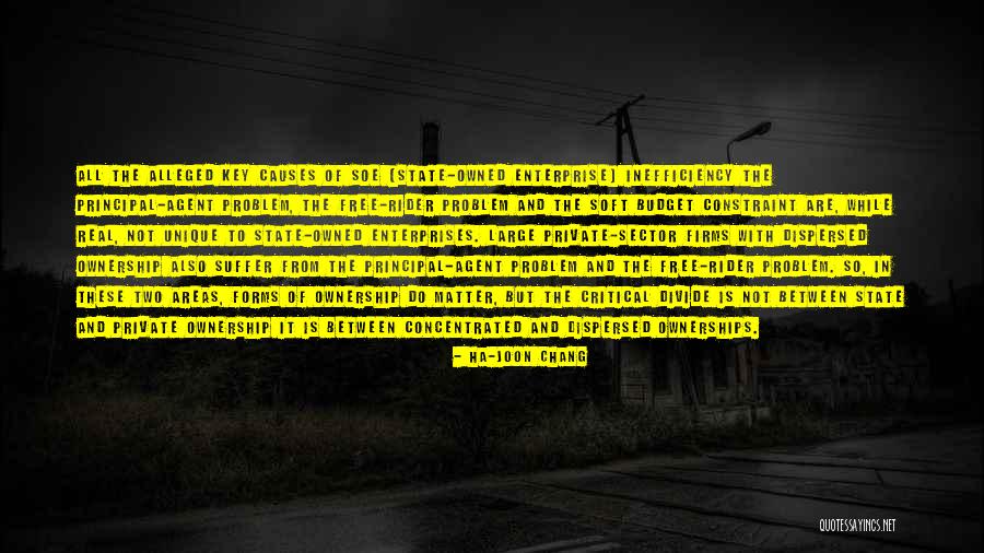 Free Rider Problem Quotes By Ha-Joon Chang Free Rider Problem Quotes By Ha-Joon Chang