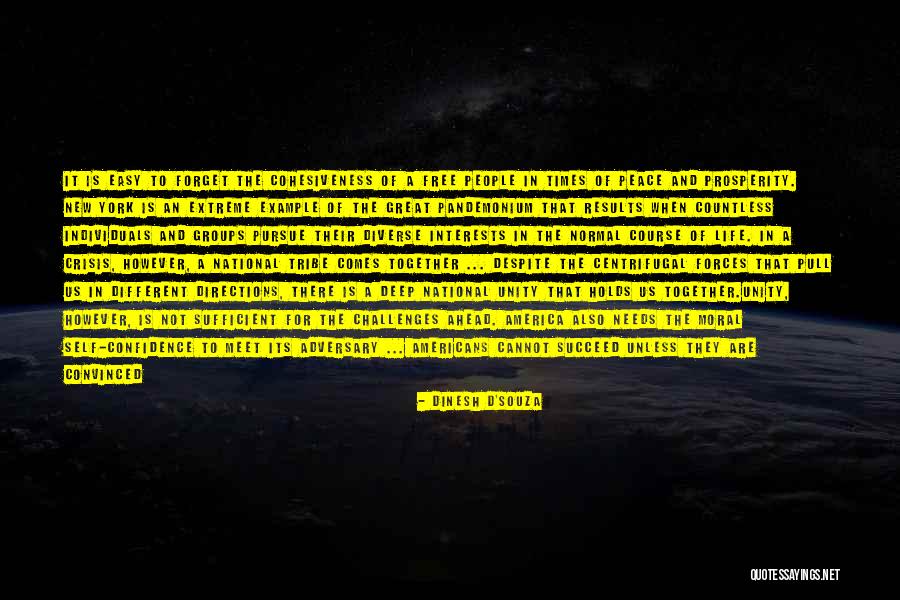 Free Spirit Quotes By Dinesh D'Souza Free Spirit Quotes By Dinesh D'Souza