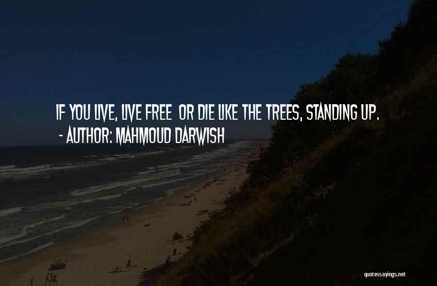 Free Standing Quotes By Mahmoud Darwish