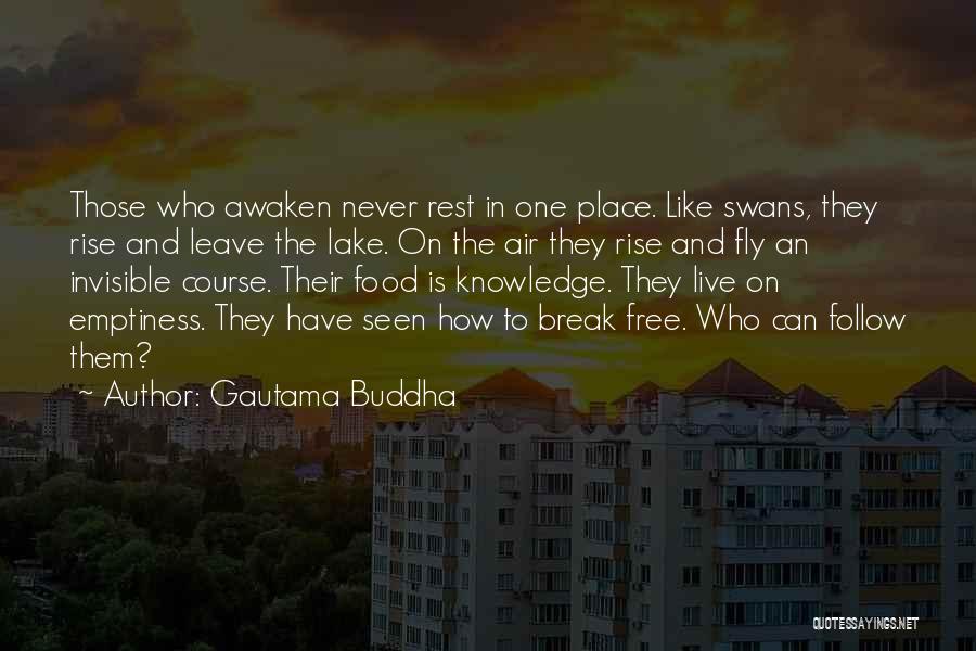 Free To Fly Quotes By Gautama Buddha