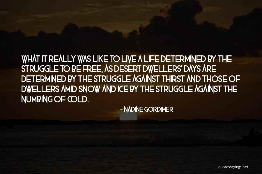 Free To Live Quotes By Nadine Gordimer