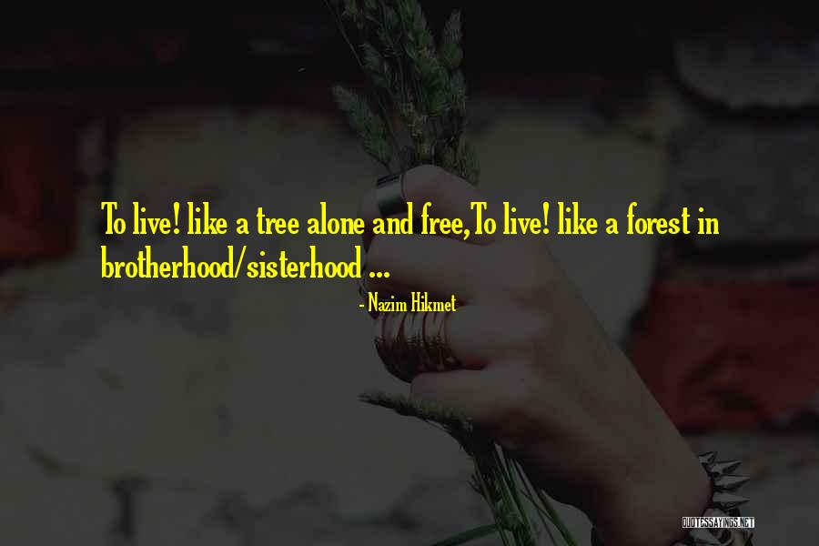 Free To Live Quotes By Nazim Hikmet