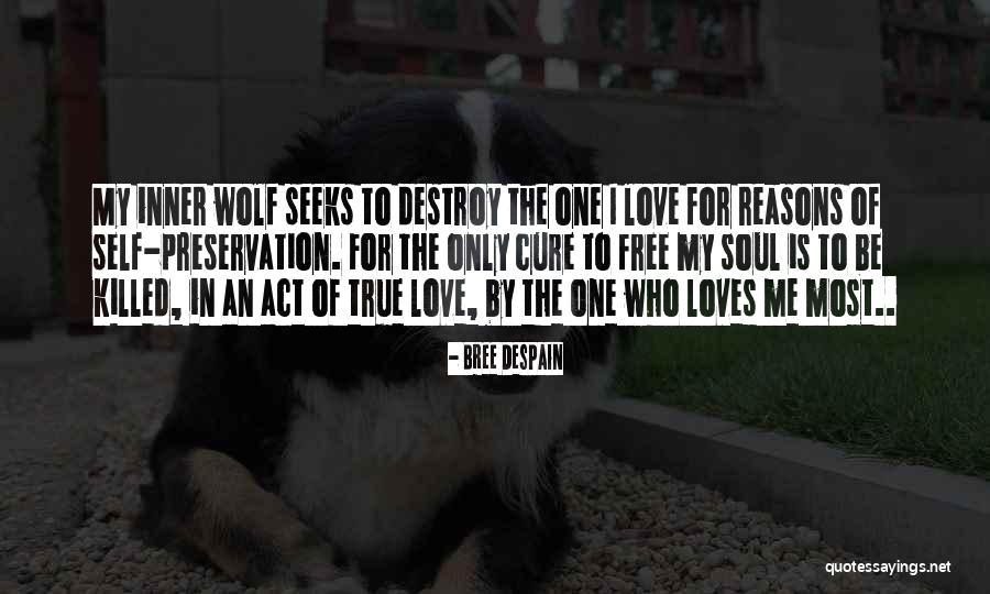 Free True Love Quotes By Bree Despain Free True Love Quotes By Bree Despain