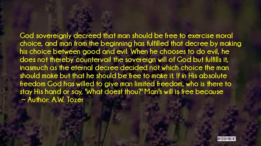 Free Will And Determinism Quotes By A.W. Tozer