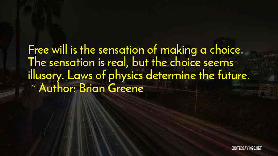 Free Will And Determinism Quotes By Brian Greene