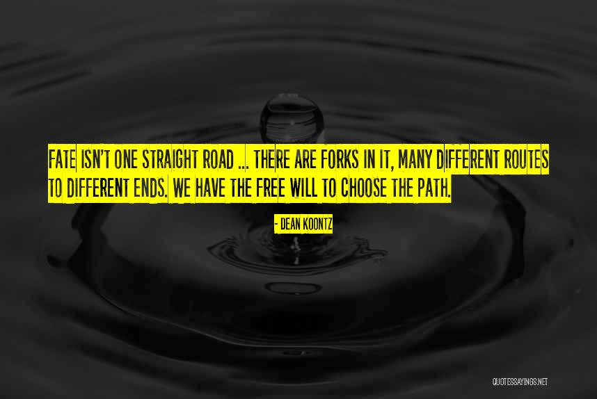 Free Will Philosophy Quotes By Dean Koontz Free Will Philosophy Quotes By Dean Koontz