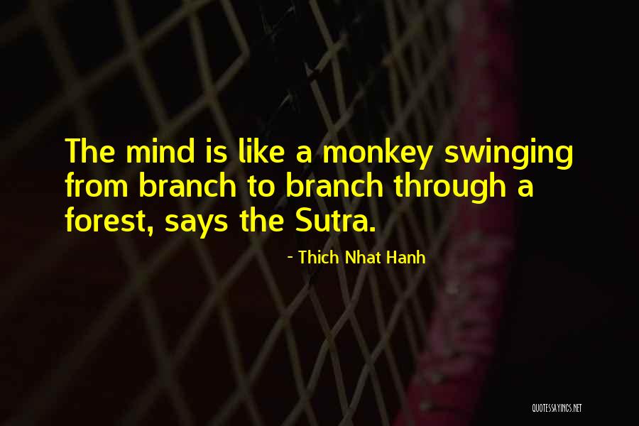 Freebase Cocaine Is Purer Than Non Freebased Cocaine Quotes By Thich Nhat Hanh Freebase Cocaine Is Purer Than Non Freebased Cocaine Quotes By Thich Nhat Hanh