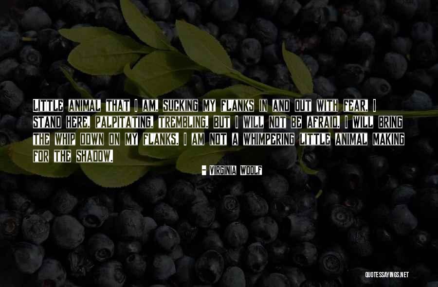 Freedland Harwin Quotes By Virginia Woolf Freedland Harwin Quotes By Virginia Woolf