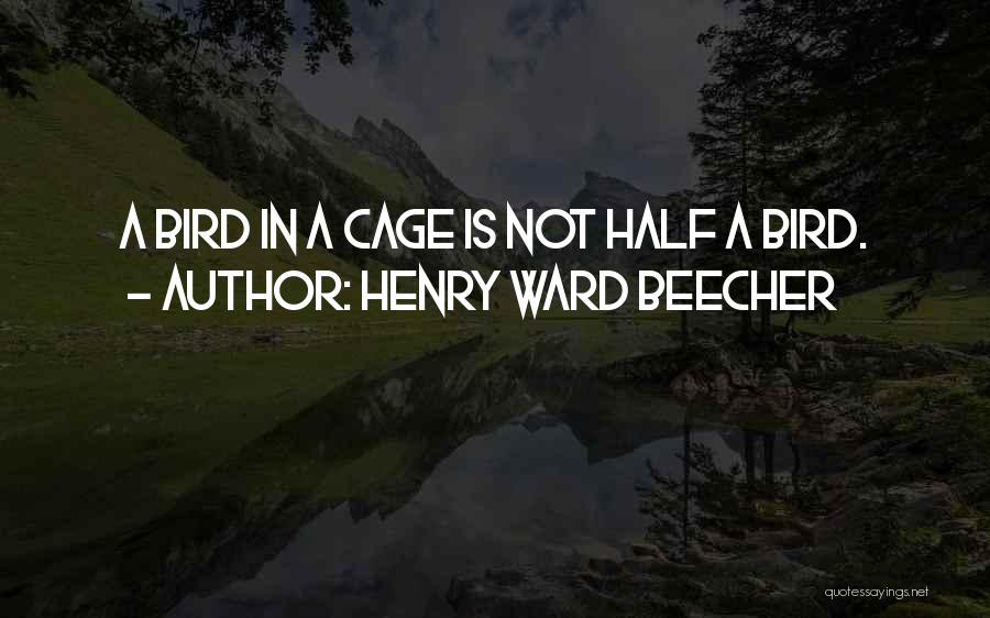 Freedom And Cages Quotes By Henry Ward Beecher