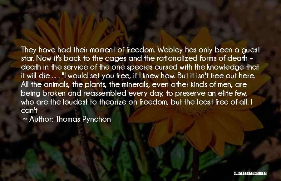 Freedom And Cages Quotes By Thomas Pynchon