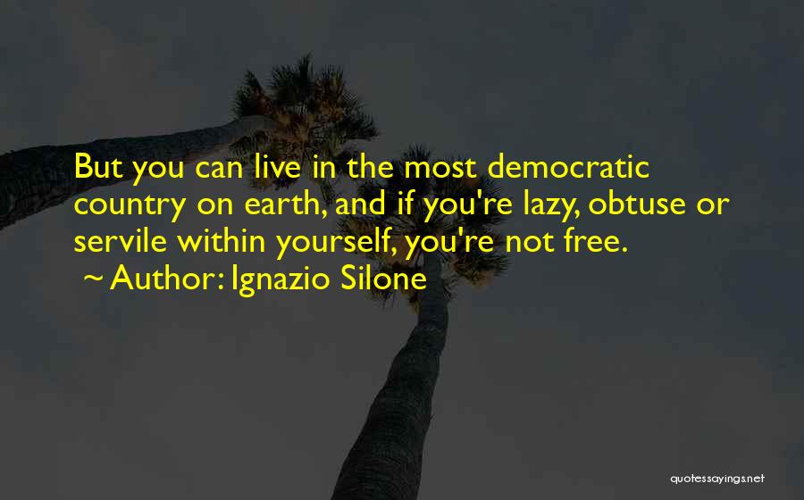 Freedom And Democracy Quotes By Ignazio Silone