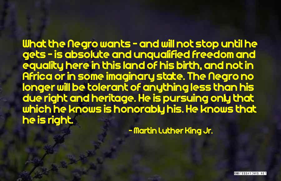 Freedom And Equality Quotes By Martin Luther King Jr. Freedom And Equality Quotes By Martin Luther King Jr.