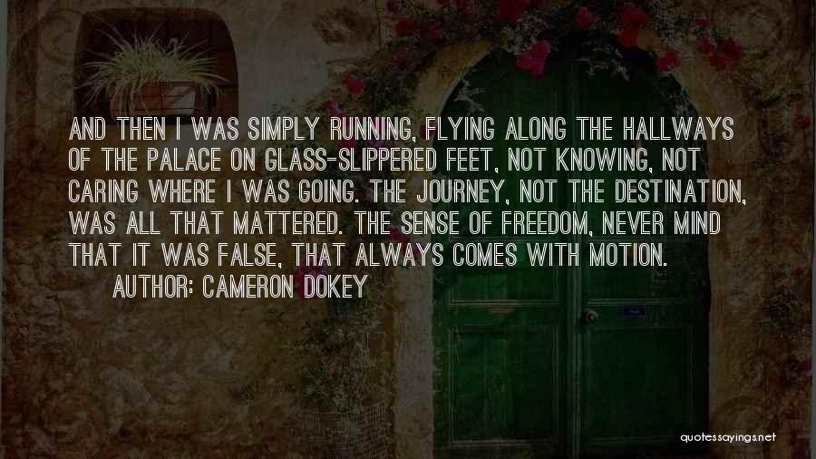 Freedom And Flying Quotes By Cameron Dokey