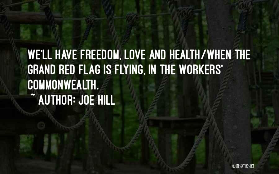 Freedom And Flying Quotes By Joe Hill