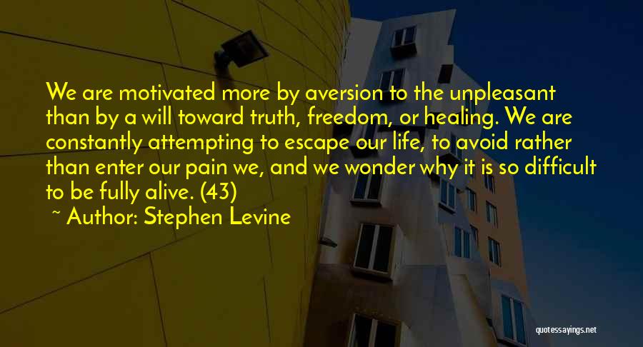 Freedom And Living Life Quotes By Stephen Levine