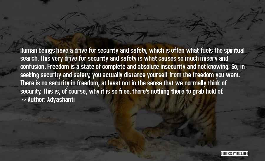 Freedom And Safety Quotes By Adyashanti