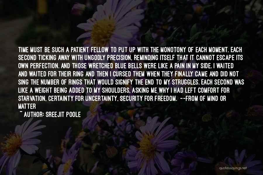 Freedom And Security Quotes By Sreejit Poole