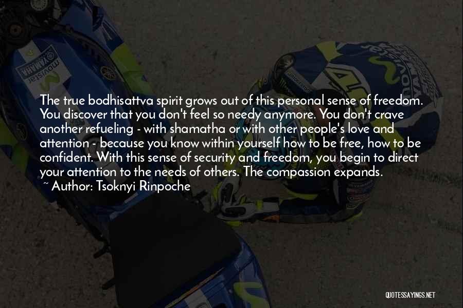 Freedom And Security Quotes By Tsoknyi Rinpoche