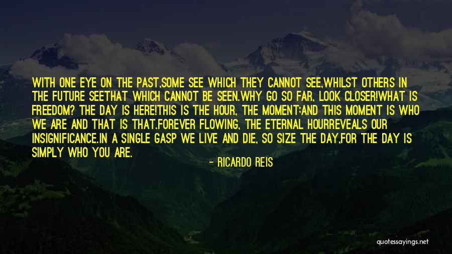 Freedom Day Quotes By Ricardo Reis