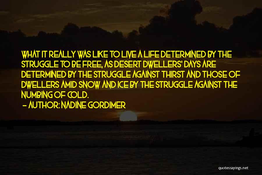 Freedom Fighter Quotes By Nadine Gordimer