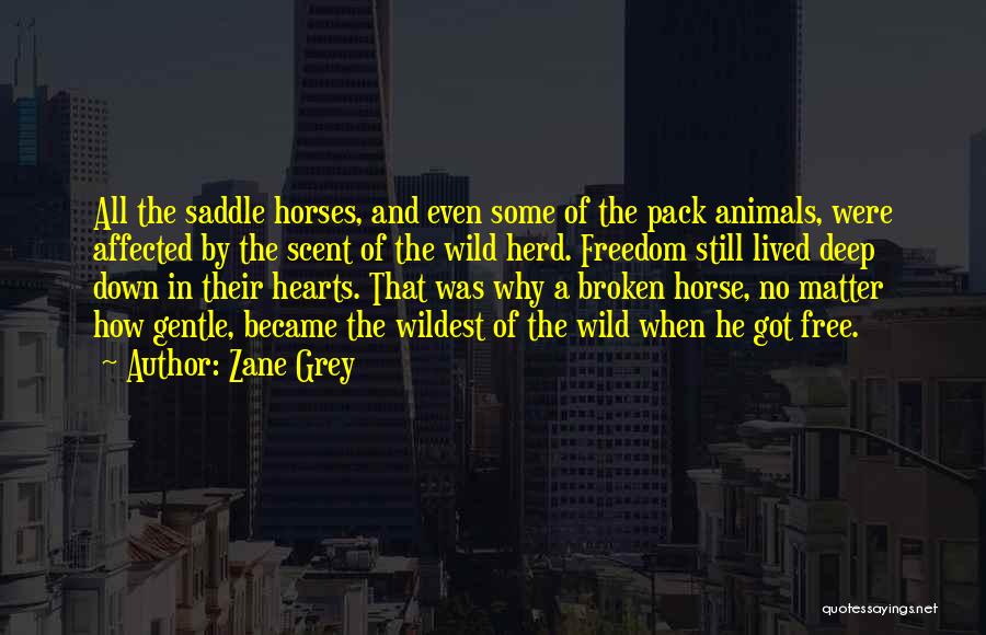 Freedom For Animals Quotes By Zane Grey