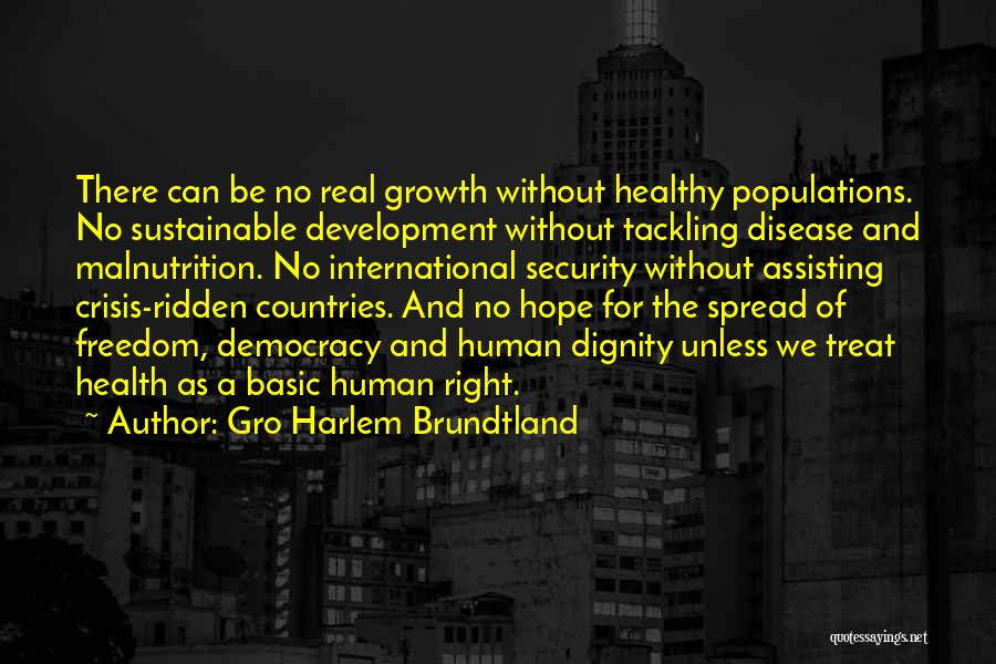 Freedom For Security Quotes By Gro Harlem Brundtland