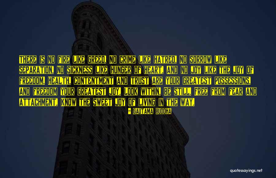 Freedom From Greed Quotes By Gautama Buddha Freedom From Greed Quotes By Gautama Buddha