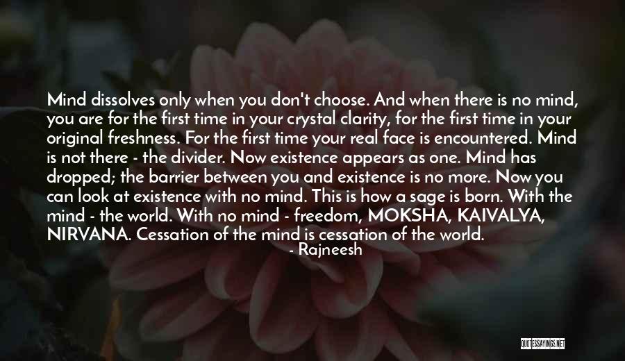 Freedom How Does It Looks Quotes By Rajneesh Freedom How Does It Looks Quotes By Rajneesh