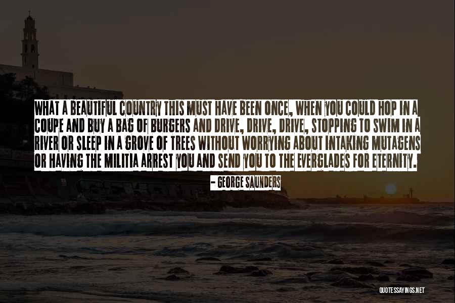 Freedom In The Usa Quotes By George Saunders