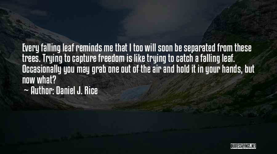 Freedom Into The Wild Quotes By Daniel J. Rice