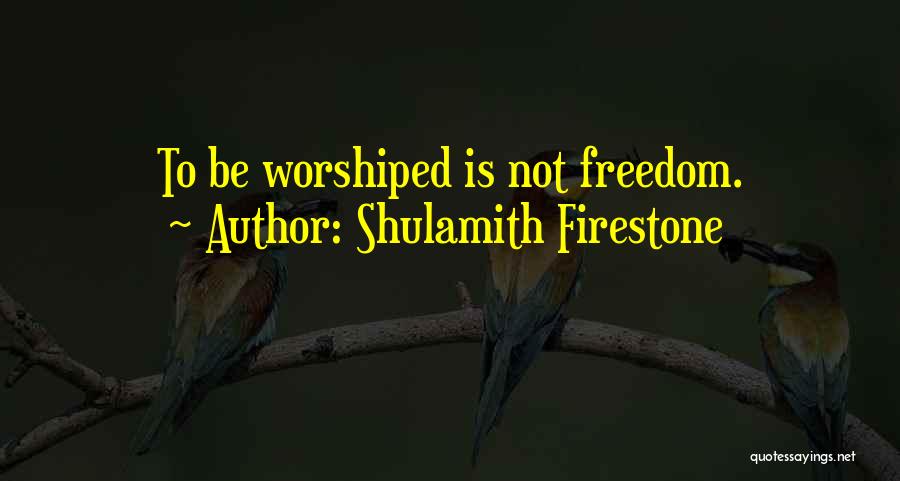 Freedom Is Not Quotes By Shulamith Firestone