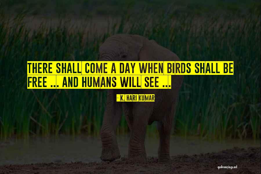 Freedom Of Birds Quotes By K. Hari Kumar Freedom Of Birds Quotes By K. Hari Kumar