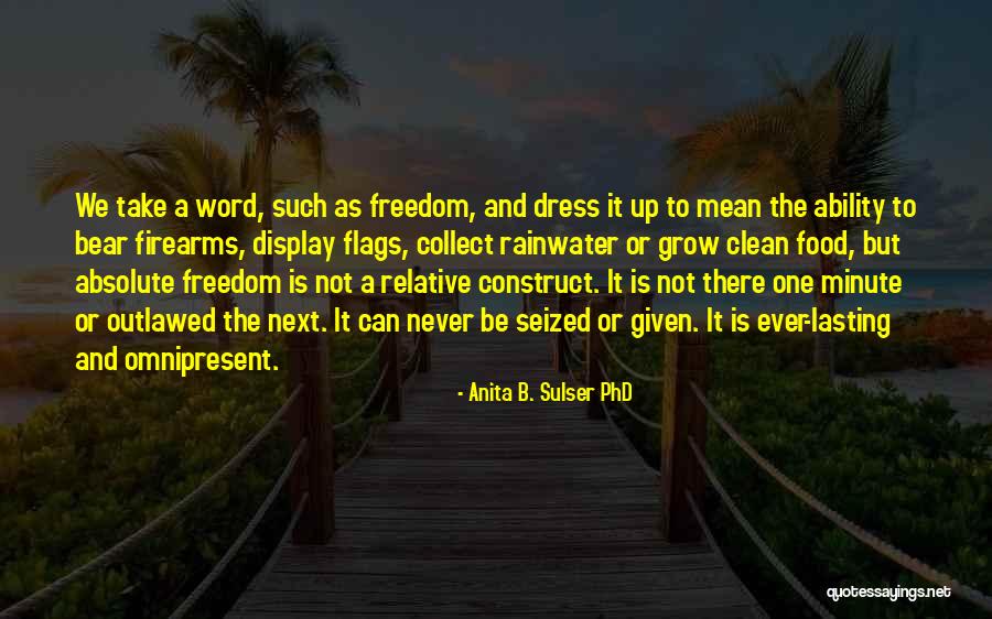 Freedom Of Dress Quotes By Anita B. Sulser PhD