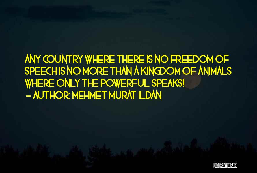 Freedom Of Expression Quotes By Mehmet Murat Ildan