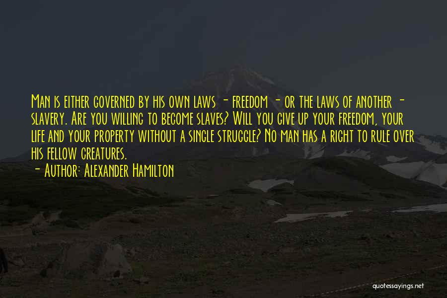 Freedom Of Slaves Quotes By Alexander Hamilton